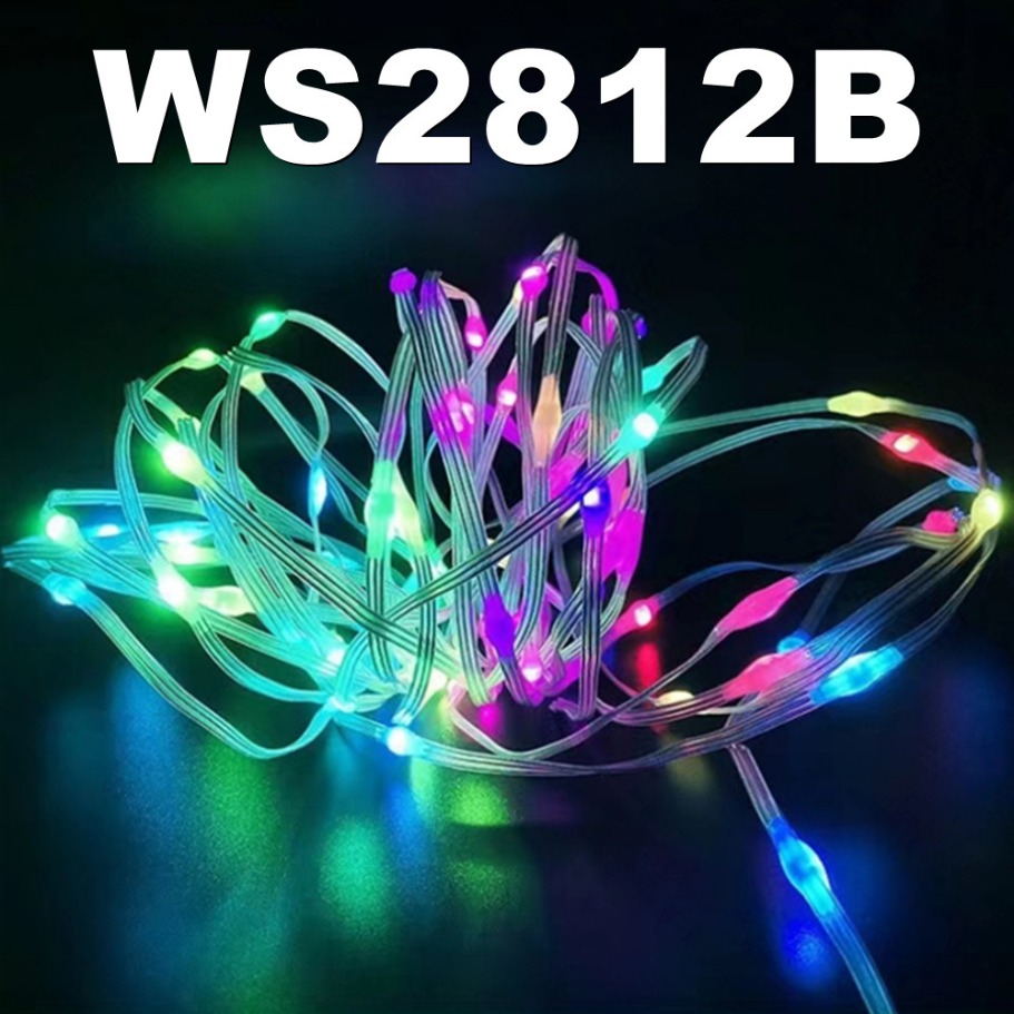 WS2812B LED Light String Smart - Led Fairy String Lights recensie en prijs