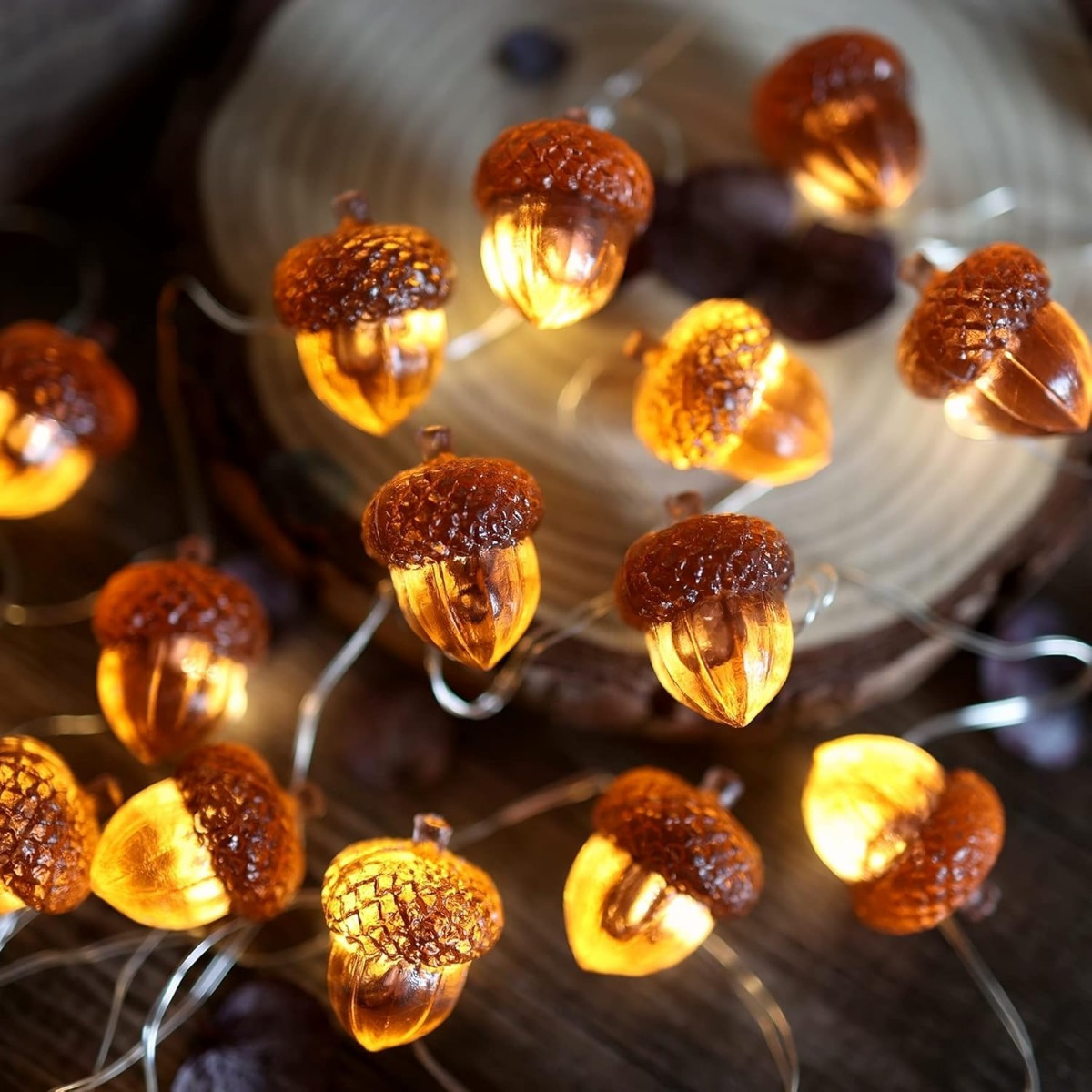 30 LED's Eikel Lichtslingers T - Led Fairy String Lights recensie en prijs